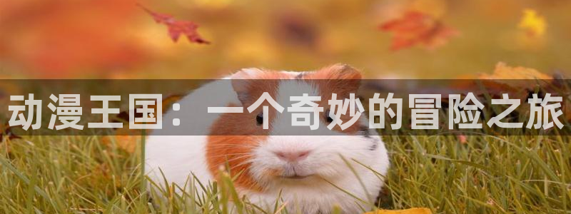 虫虫漫画高分作品大全：动漫王国：一个奇妙的冒险之旅配图