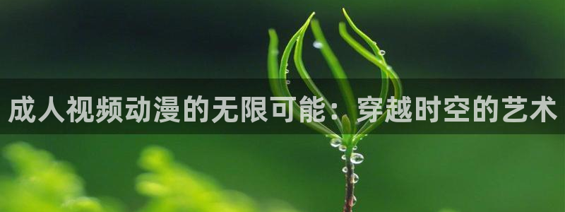 虫虫漫画推荐有哪些：成人视频动漫的无限可能：穿越时空的艺术配图