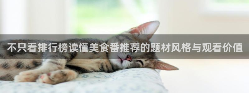 2026虫虫漫画排行:不只看排行榜读懂美食番推荐的题材风格与观看价值配图