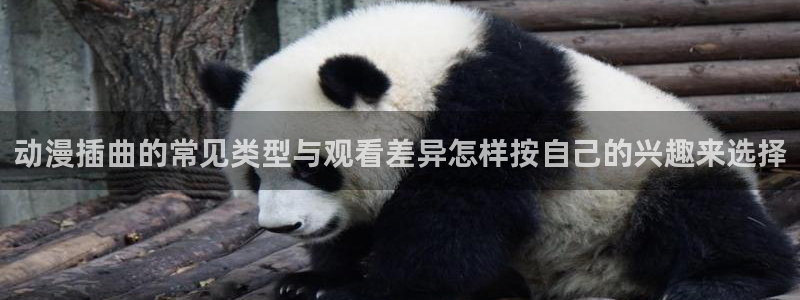 虫虫漫画电脑在线看：动漫插曲的常见类型与观看差异怎样按自己的兴趣来选择配图
