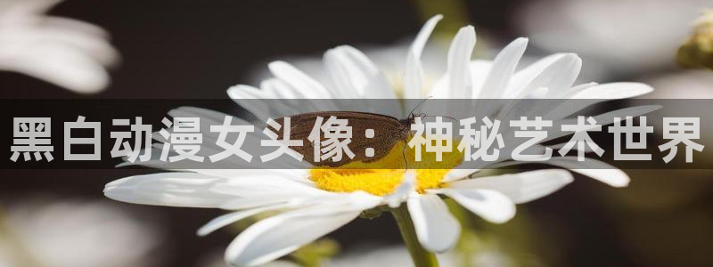 虫虫漫画在线：黑白动漫女头像：神秘艺术世界配图