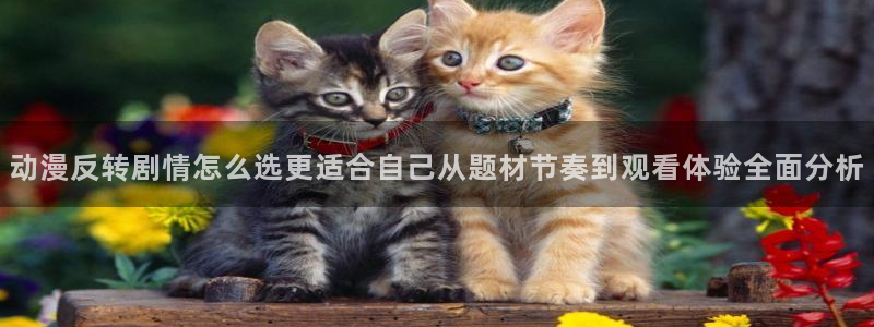 虫虫漫画章节更新：动漫反转剧情怎么选更适合自己从题材节奏到观看体验全面分析配图