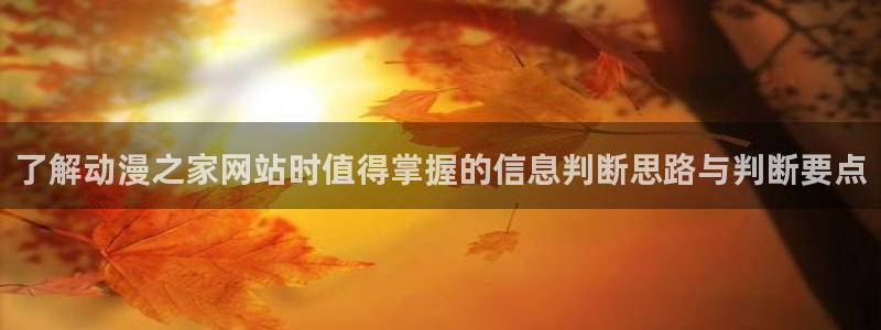 虫虫漫画全集：了解动漫之家网站时值得掌握的信息判断思路与判断要点配图