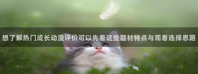虫虫漫画分类大全:想了解热门成长动漫评价可以先看这些题材特点与观看选择思路配图